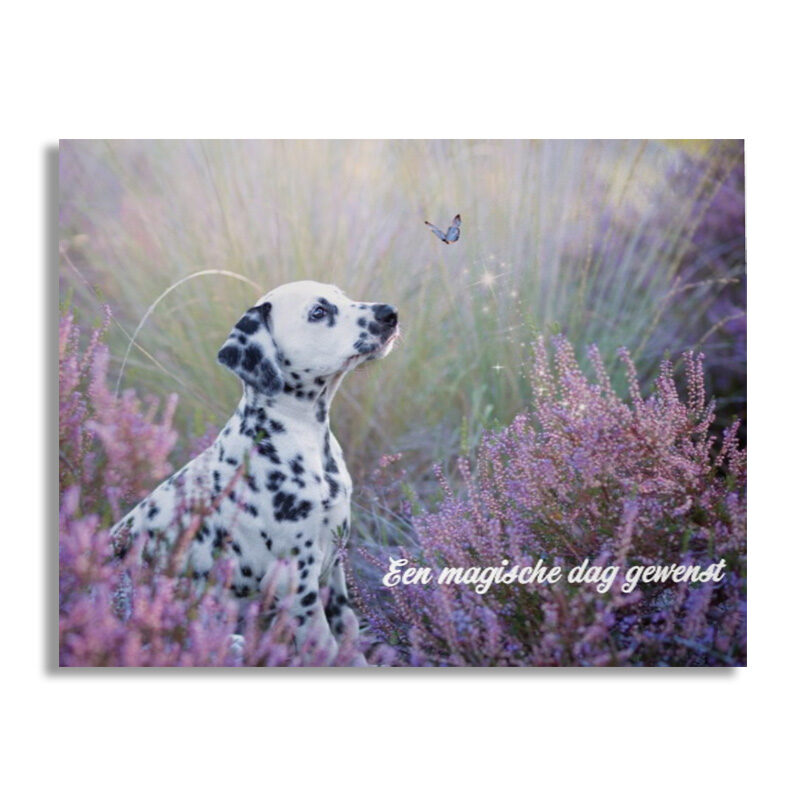 Wenskaart - een magische dag gewenst