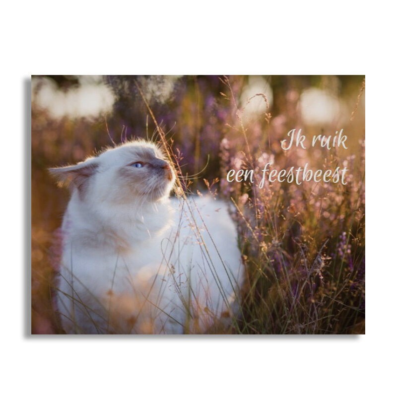 Wenskaart - ik ruik een feestbeest