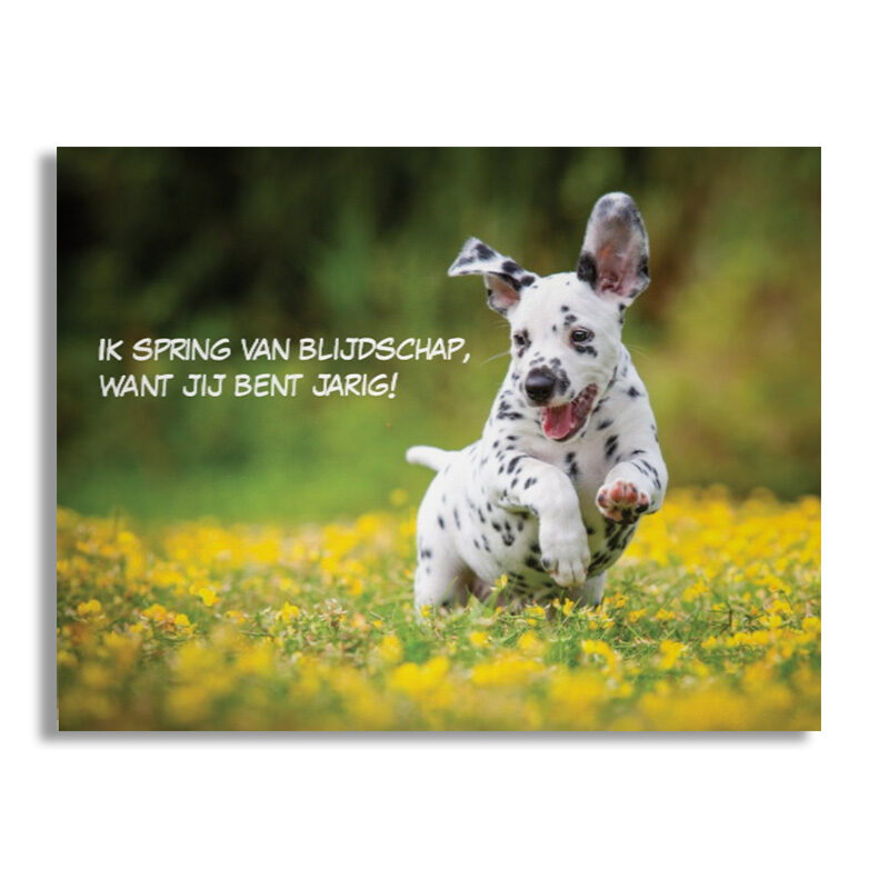 Wenskaart - ik spring van blijdschap, want jij bent jarig