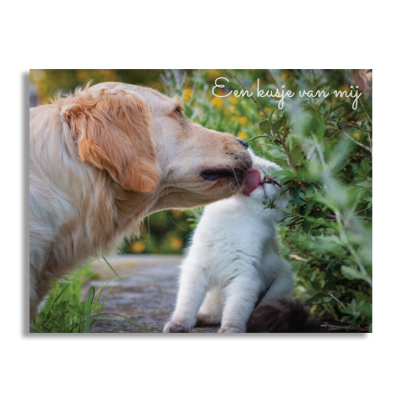 Wenskaart - kusje van mij