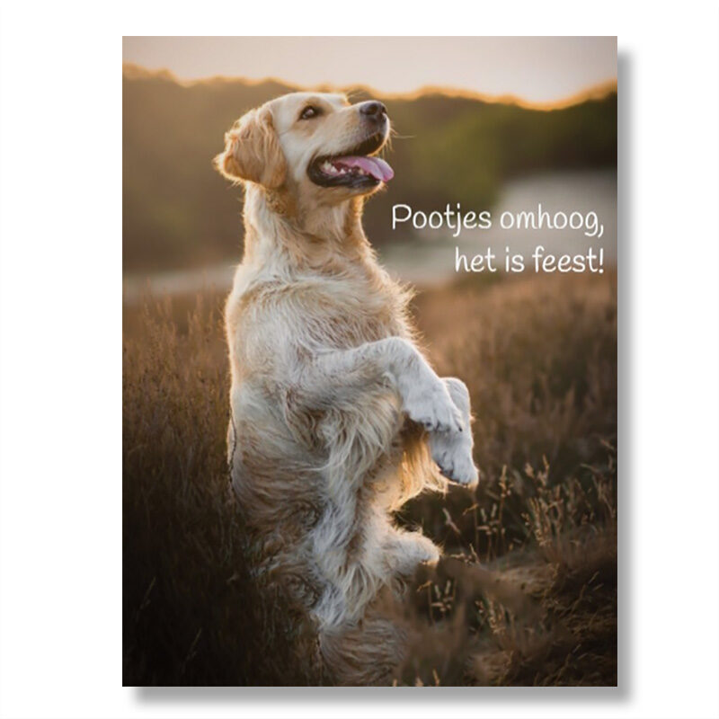 Wenskaart - pootjes omhoog, het is feest!